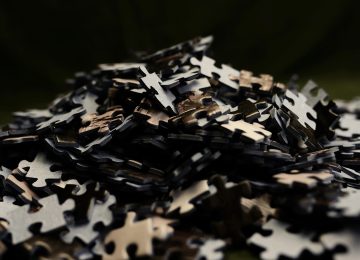 植物大战僵尸中文版主菜单界面截图，显示开始游戏、迷你游戏、解谜、生存等中文菜单选项，背景为阳光明媚的绿色草坪